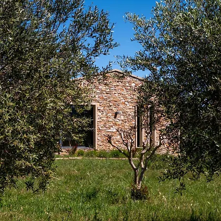 Magnifique Avec Piscine Au Coeur Des Vignes Villa *
