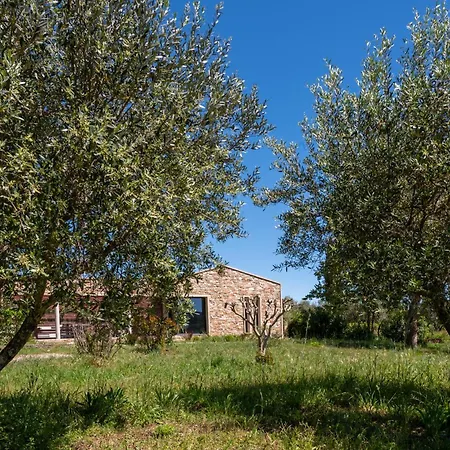 Villa Magnifique Avec Piscine Au Coeur Des Vignes Cogolin
