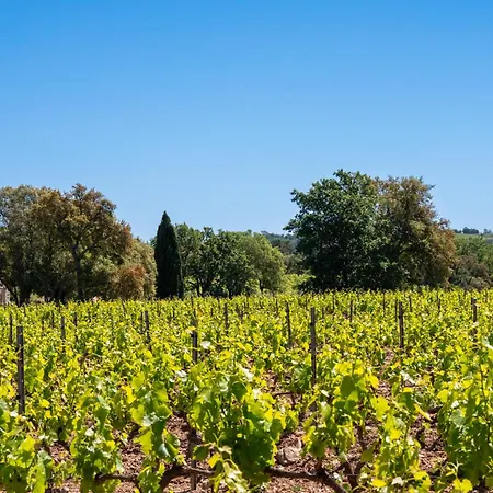 Magnifique Avec Piscine Au Coeur Des Vignes * Cogolin