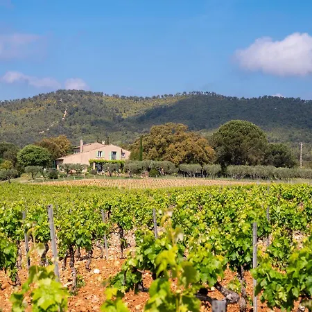 Magnifique Avec Piscine Au Coeur Des Vignes Villa