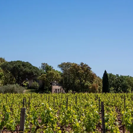 Magnifique Avec Piscine Au Coeur Des Vignes *